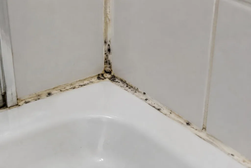 Kitbedrijf Leusden – beschimmelde kitranden